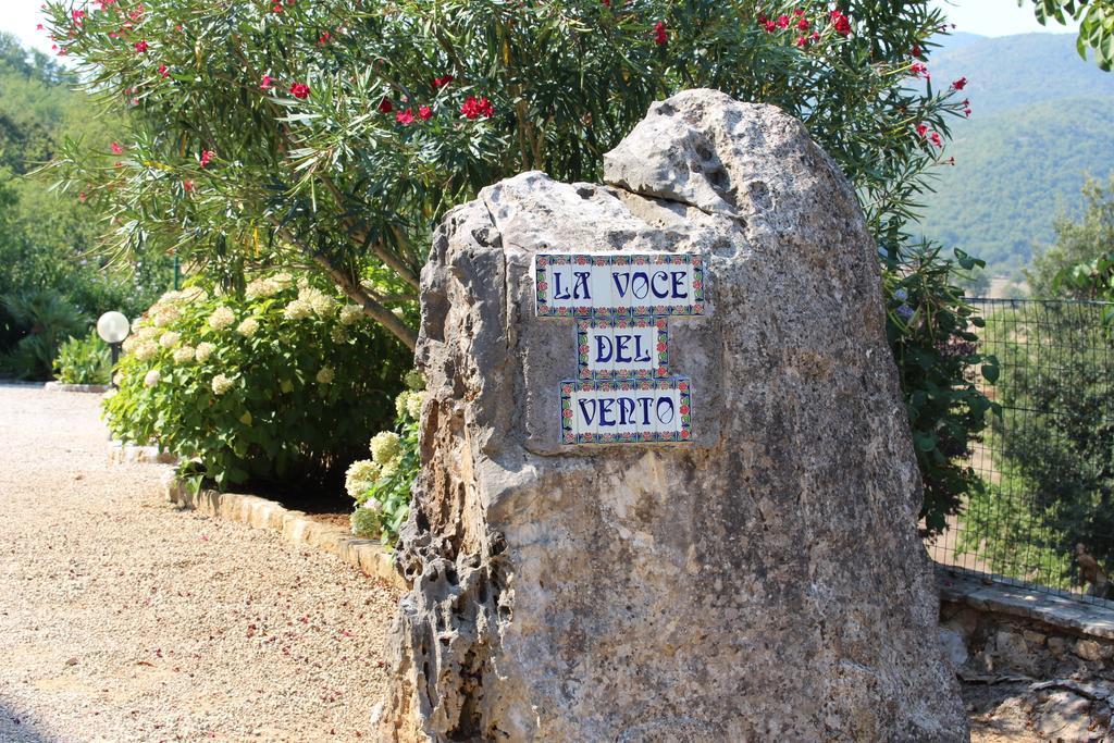 Villa La Voce Del Vento Pastena  Εξωτερικό φωτογραφία
